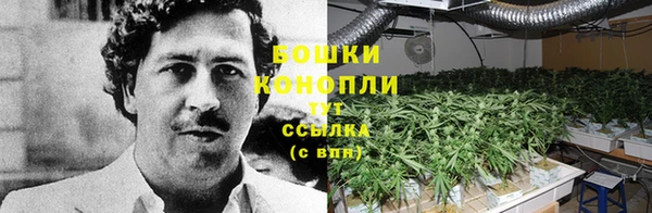 метадон Усинск