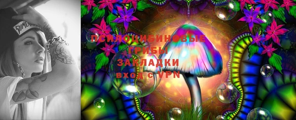 jwh Нефтекумск