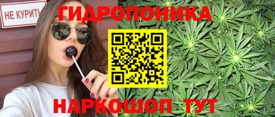 мдпв Можга