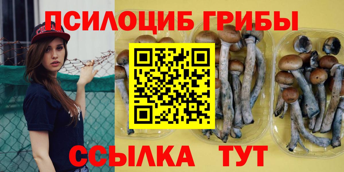 Галлюциногенные грибы MAGIC MUSHROOMS Камень-на-Оби